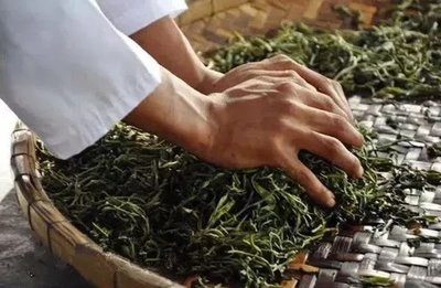 茶道中的璞玉——龙筒茶的本来面目